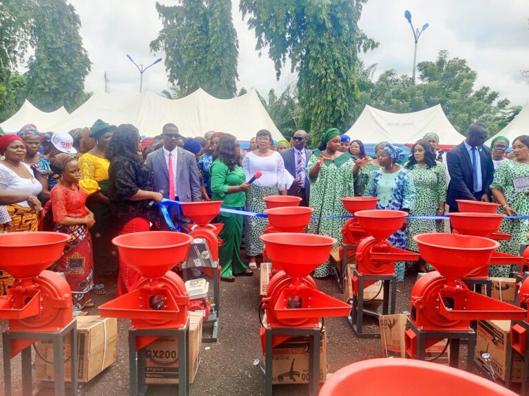 Ebonyi: 500 indigent women receive empowerment items