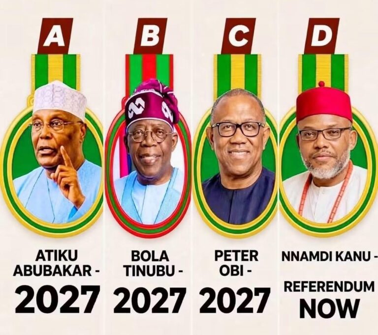 Election a waste of time, Nigerians need referendum – IPOB