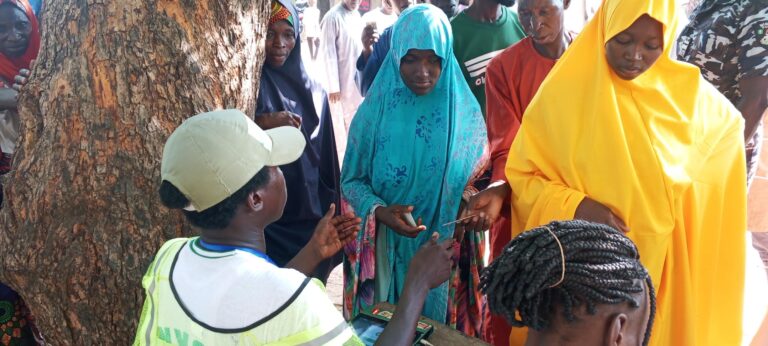 Bauchi by-election: Police arrest 50 armed suspects