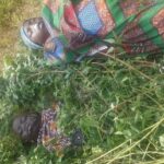 Boat mishap claims four lives in Jigawa community