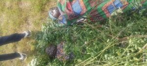 Boat mishap claims four lives in Jigawa community