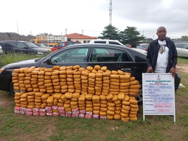 NDLEA intercepts UK colos shipments, opioids hidden in bread, speakers