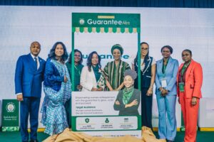 NCGC unlocks ₦46.95bn credit, reaches 67,512 borrowers in first year
