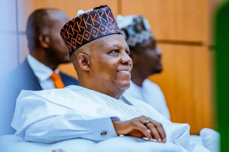Vice President Kashim Shettima