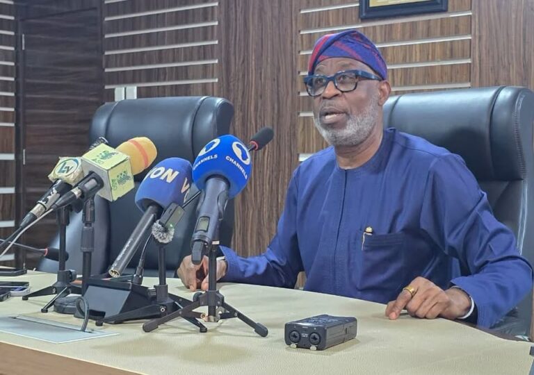 Minister of Mines and Steel Development Dele Alake