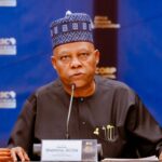 Vice President Kashim Shettima