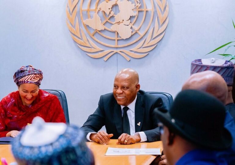 Vice President Kashim Shettima