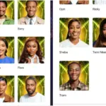 BBNAIJA-768×543