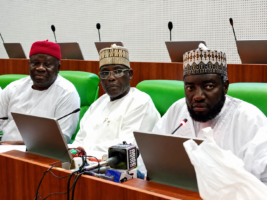 PFIPC: We traced 58 bank accounts, 12 organisations to Adeyemi, says Reps panel
