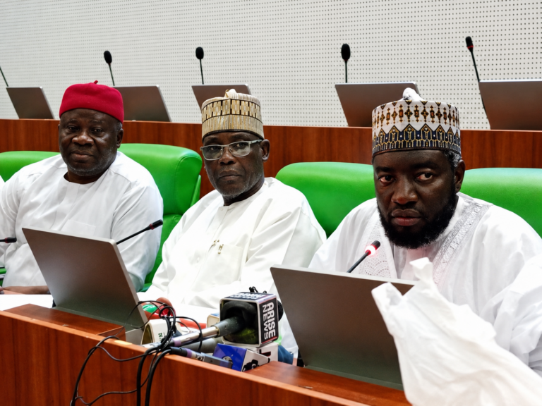 PFIPC: We traced 58 bank accounts, 12 organisations to Adeyemi, says Reps panel