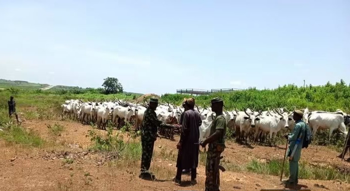Cattle rustling by Operation Fansan Yamma