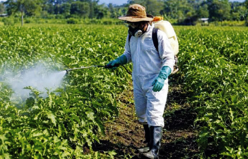 Farmers