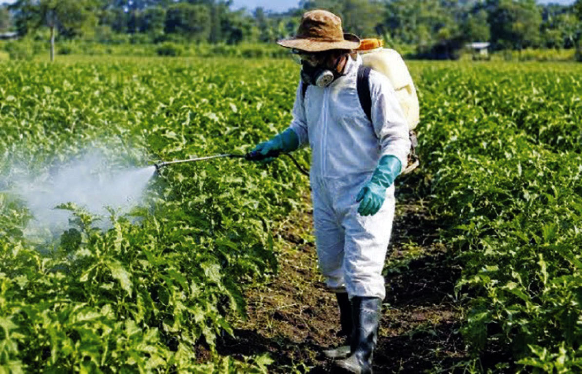 Farmers