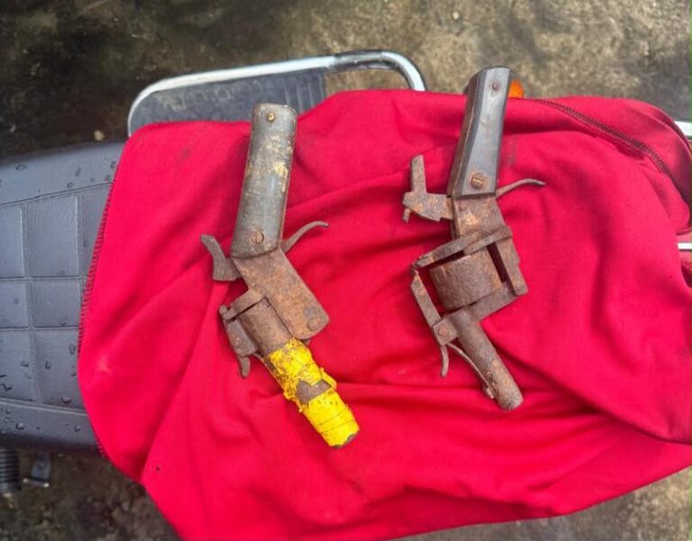 Guns allegedly recovered by police