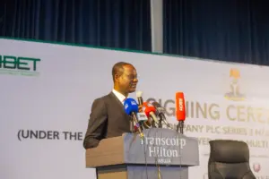 Minister of Finance and Coordinating Minister of the Economy Professor Taiwo Oyedele