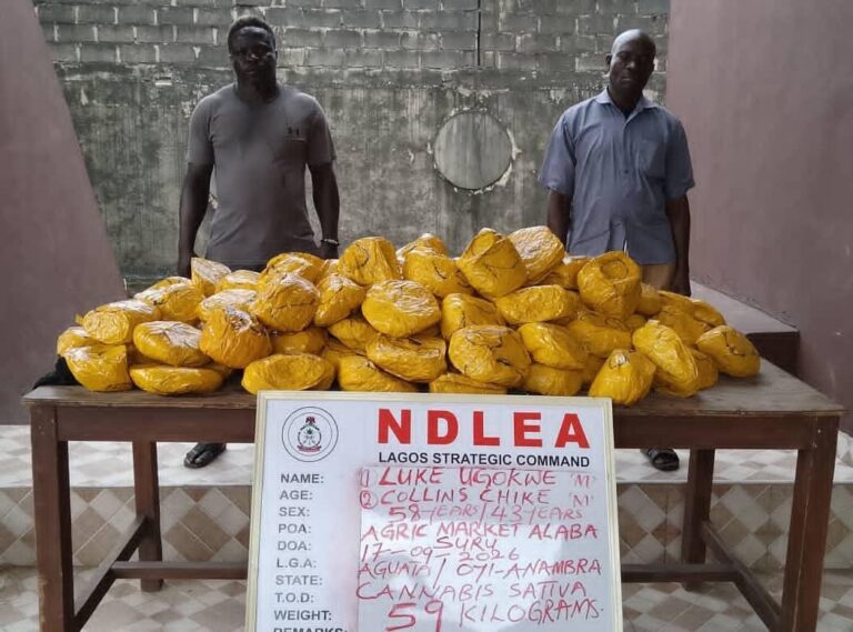 NDLEA seizes N3.4bn drugs, arrests fake police officer, teens with guns