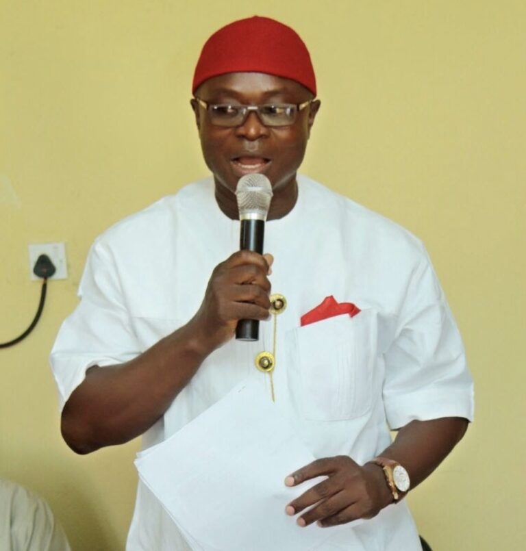 Northern Igbo Assembly disavows Tinubu endorsement, demands retraction
