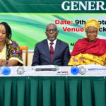 INEC charges parties to mobilise women for political participation
