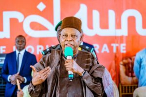 Vice President Kashim Shettima
