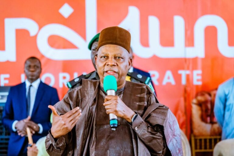 Vice President Kashim Shettima