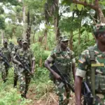 Nigerian army