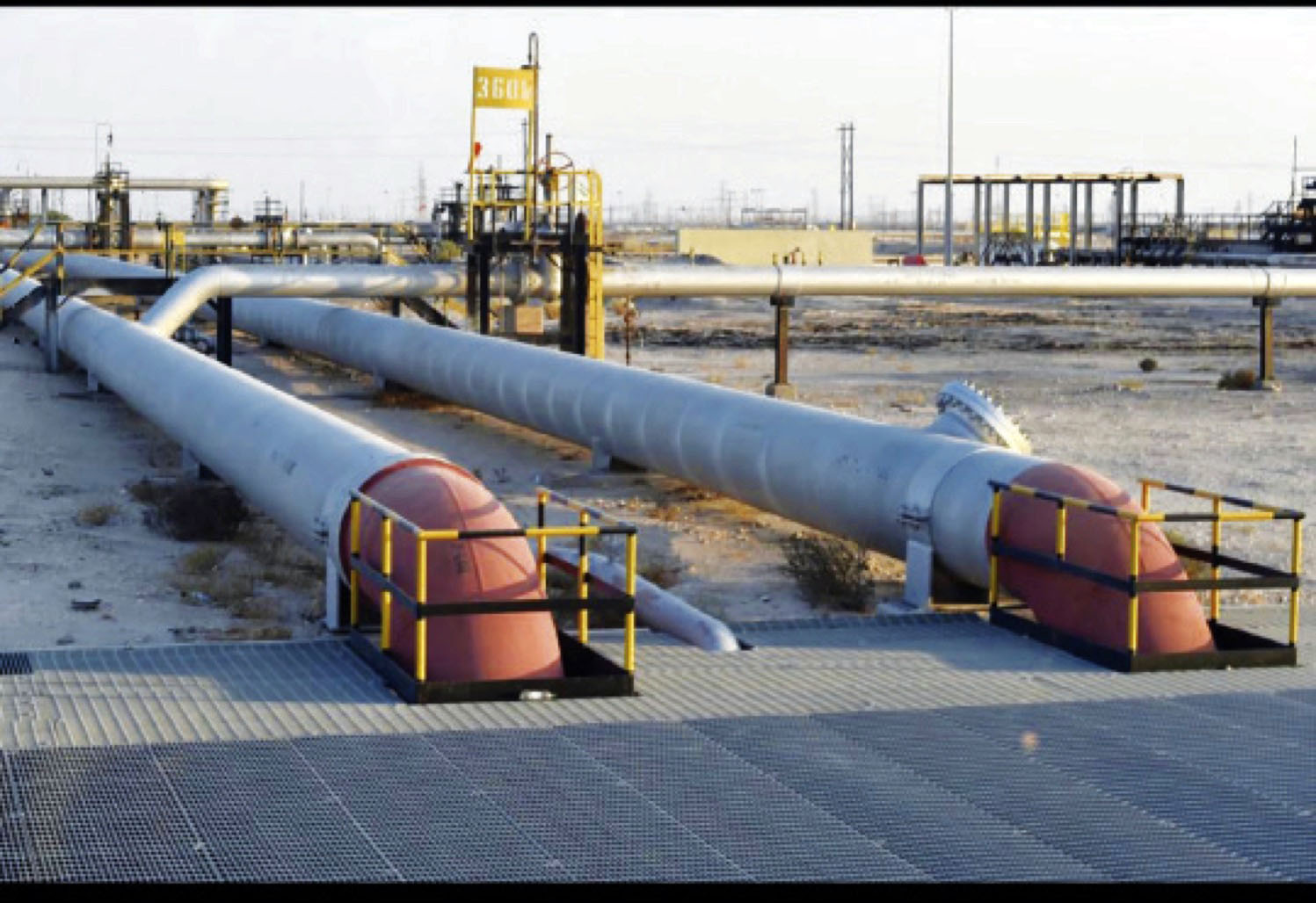 Oil