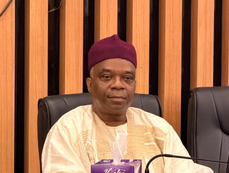 Minister of State for Foreign Affairs, Ambassador Sola Enikanolaye