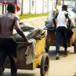 Scavengers