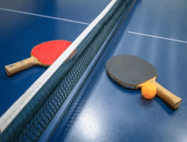 Table-Tenis-07-31-at-10.36.10-AM