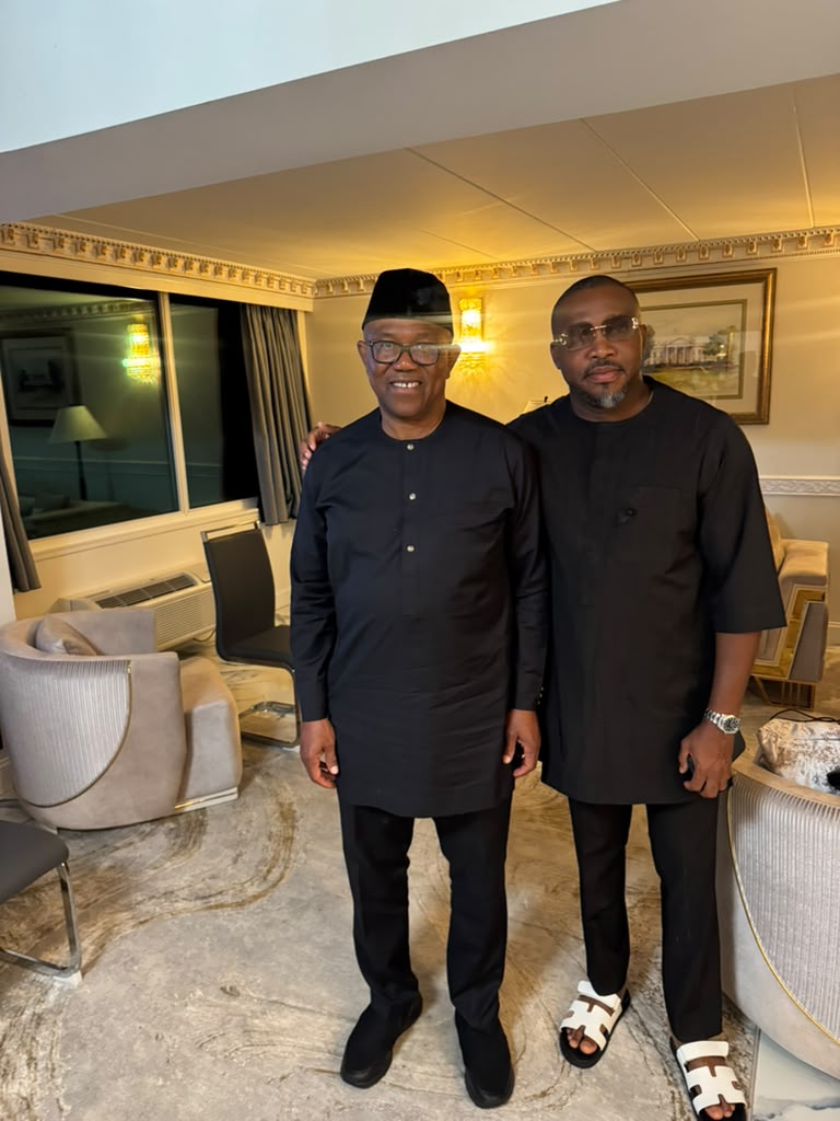 NDC Rep candidate, diasporans meet Peter Obi in Washington, canvass credible polls