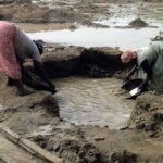 illegal miners