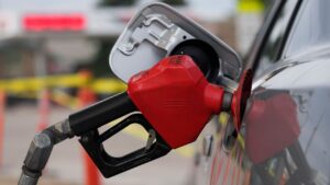 petrol Subsidy