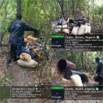 photo-output