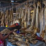 stockfish