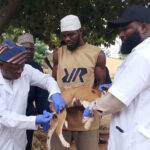 FCTA deploys 100 vets as Abuja targets 20,000 dogs in rabies vaccination drive