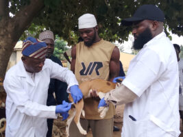 FCTA deploys 100 vets as Abuja targets 20,000 dogs in rabies vaccination drive