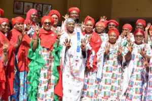 Take Tinubu campaign to grassroots, Mahmoud tasks FCT APC women