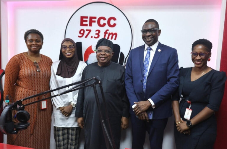 Power minister seeks EFCC intervention on vandalism, energy theft