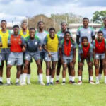• Flamingos in training