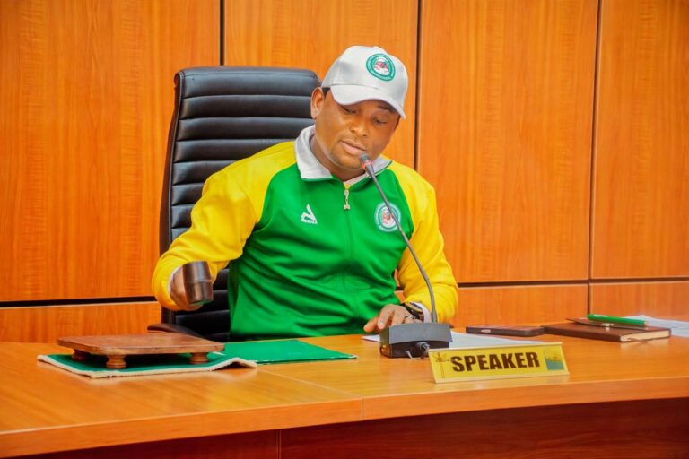 Speaker Rt Hon Abdulmalik Sarkindaji