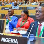 Minister of Finance and Coordinating Minister of the Economy Taiwo Oyedele