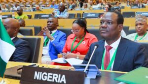 Minister of Finance and Coordinating Minister of the Economy Taiwo Oyedele