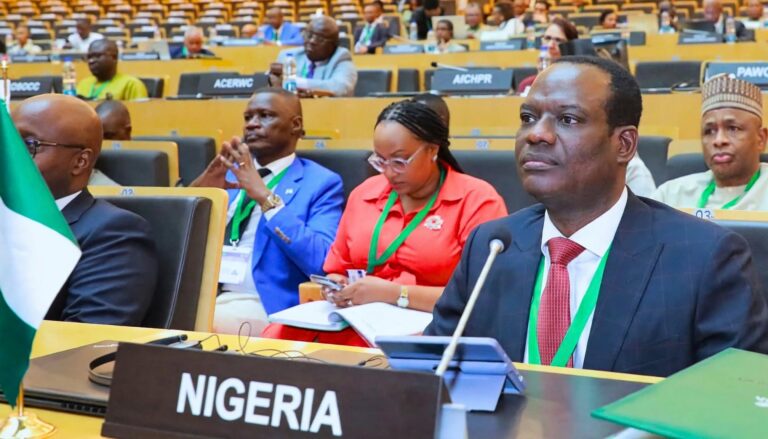 Minister of Finance and Coordinating Minister of the Economy Taiwo Oyedele