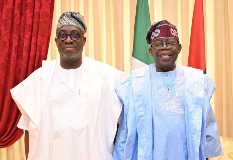 2027: Tinubu healthy, fit for re-election, says Showunmi