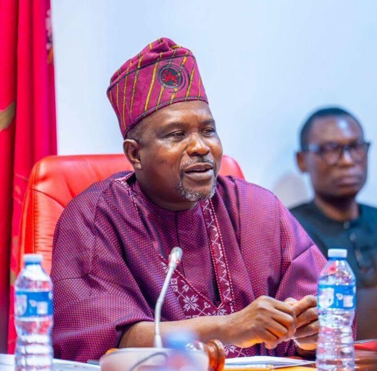 Chairman of the Senate Committee on ICT and Cybersecurity Afolabi Salisu