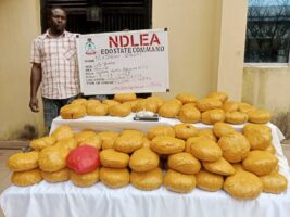 NDLEA cracks down in Edo, arrests 42 as drug baron flees