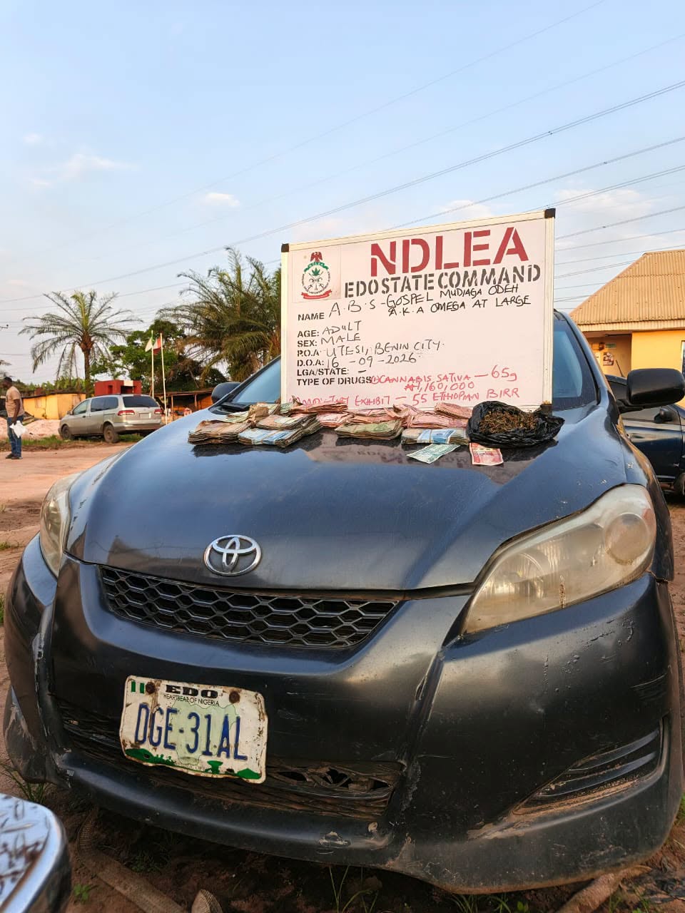 NDLEA cracks down in Edo, arrests 42 as drug baron flees