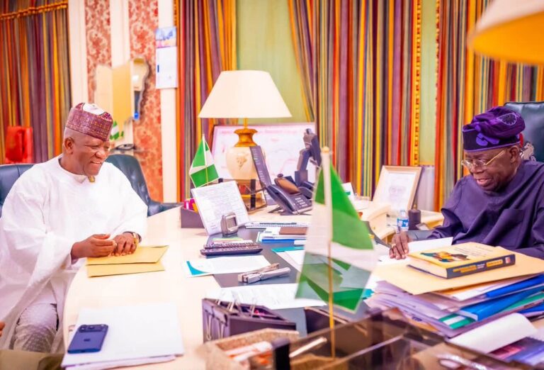 2027: Tinubu's achievements will drive re-election campaign, Yari declares