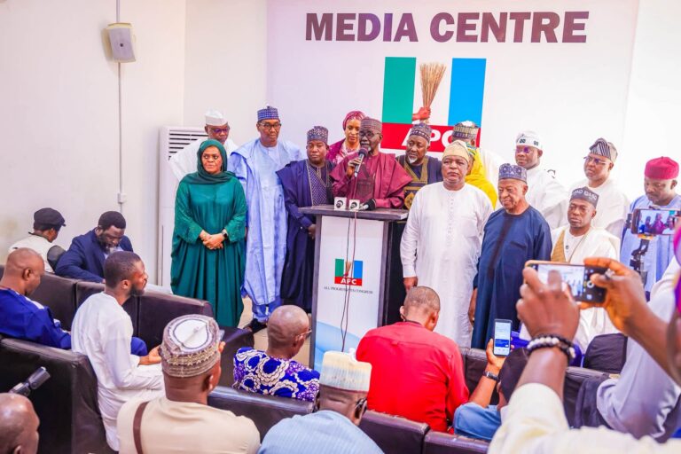 2027: Northern APC elders rally against anti-Tinubu hostility