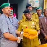 Ogun: Customs seizes military camouflage caps, 27,831 unregistered drugs, other contraband
